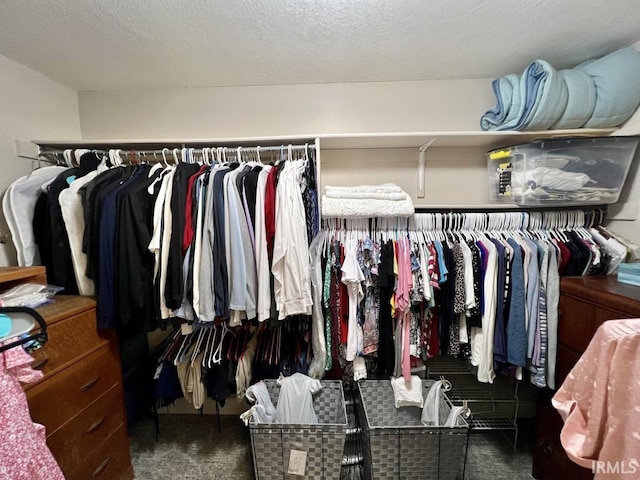 spacious closet featuring carpet flooring