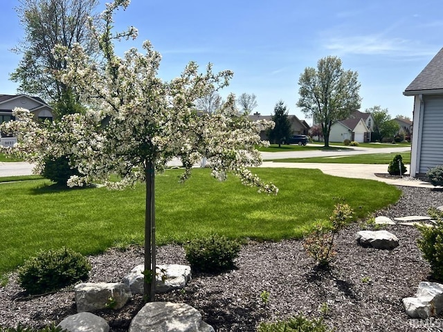 view of yard featuring a residential view