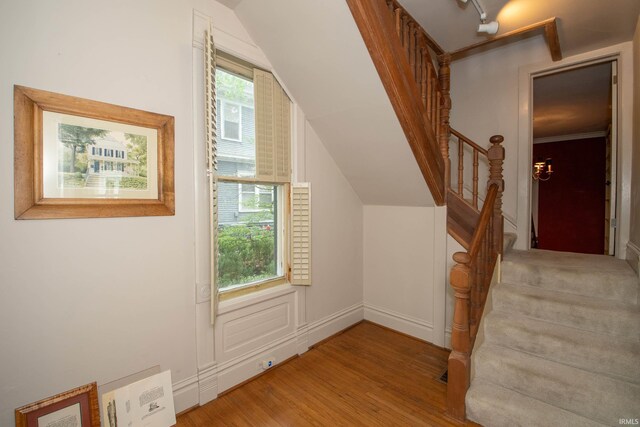 113 W N Shore Dr, South Bend, IN 46617 - stairs with wood finished floors, a healthy amount of sunlight, and vaulted ceiling