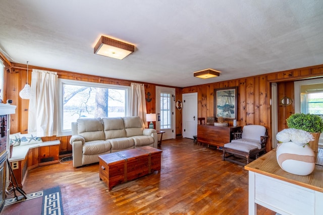 living area featuring wood walls and wood finished floors