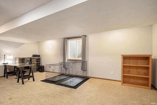 interior space featuring carpet floors and baseboards