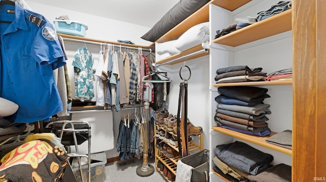 walk in closet featuring carpet