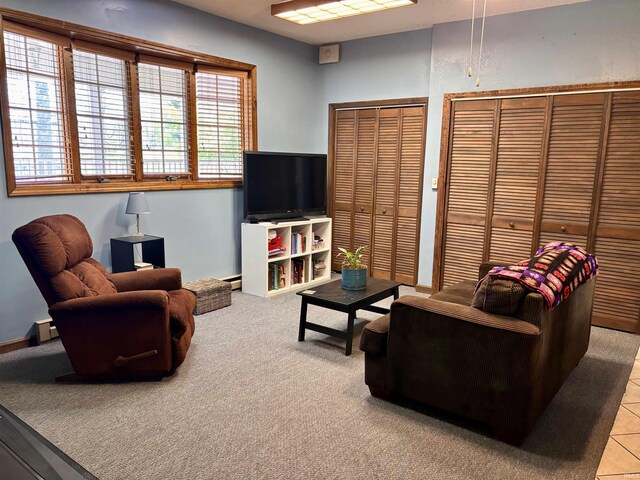 view of carpeted living room