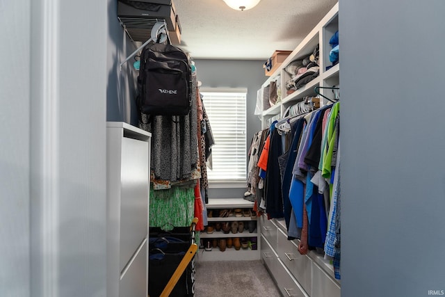 5138 Indigo Ave, Lafayette, IN 47909 - spacious closet with carpet