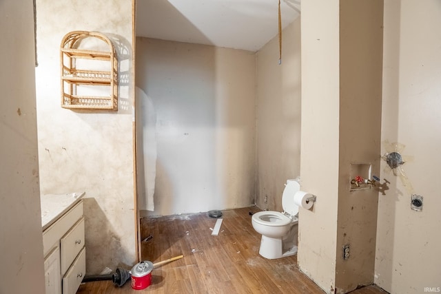 bathroom featuring vanity, toilet, and wood-type flooring