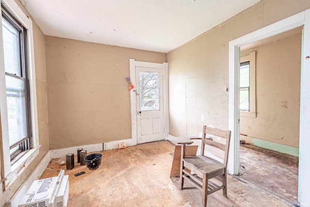 entryway with a wealth of natural light