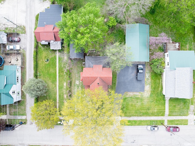 bird's eye view