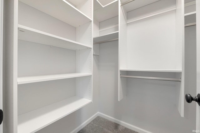 walk in closet featuring carpet floors
