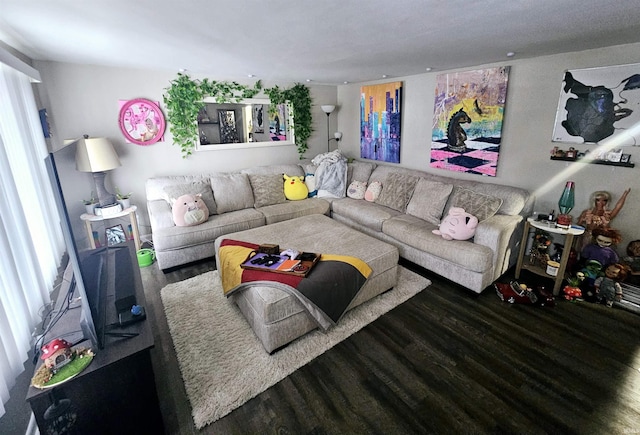 living area with wood finished floors
