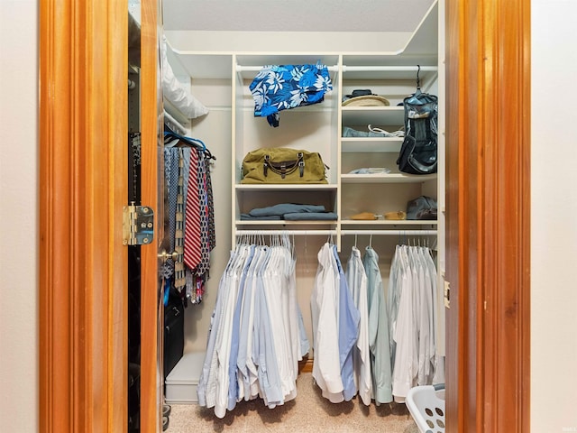 1908 Bent Tree Ct, Auburn, IN 46706 - walk in closet with carpet flooring