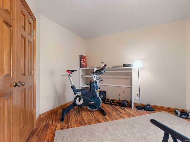 1908 Bent Tree Ct, Auburn, IN 46706 - workout room featuring baseboards and wood finished floors