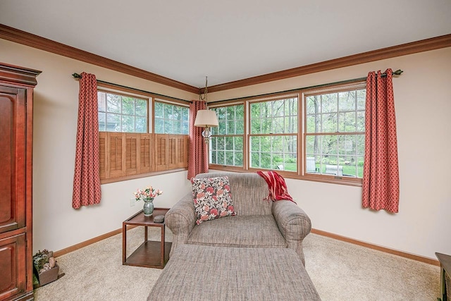 living area featuring carpet floors, crown molding, and baseboards
