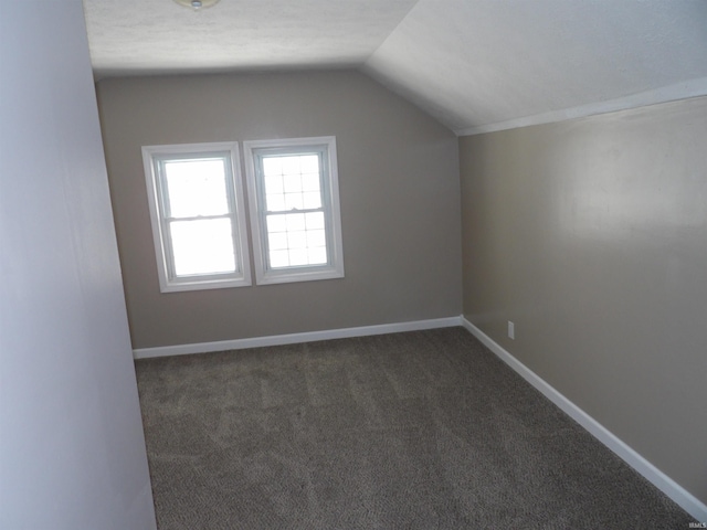 additional living space with lofted ceiling, carpet, and baseboards