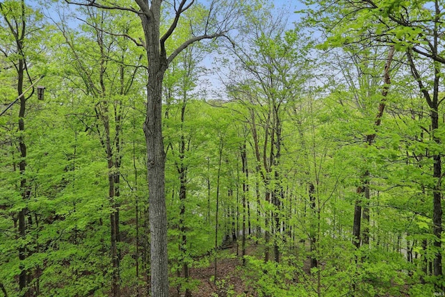 9404 S Lake Ridge Dr, Bloomington, IN 47401 - view of nature with a wooded view