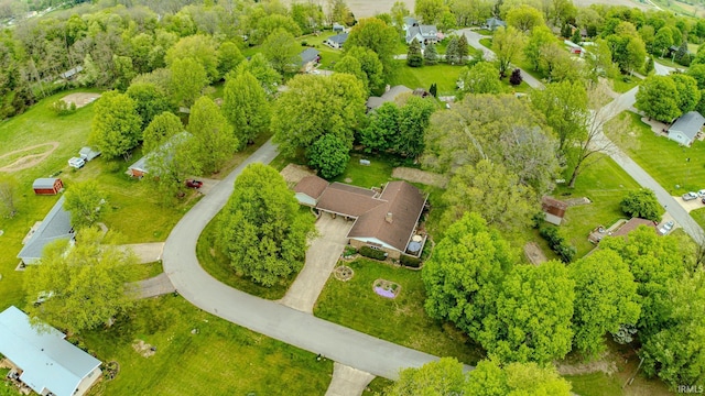 aerial view
