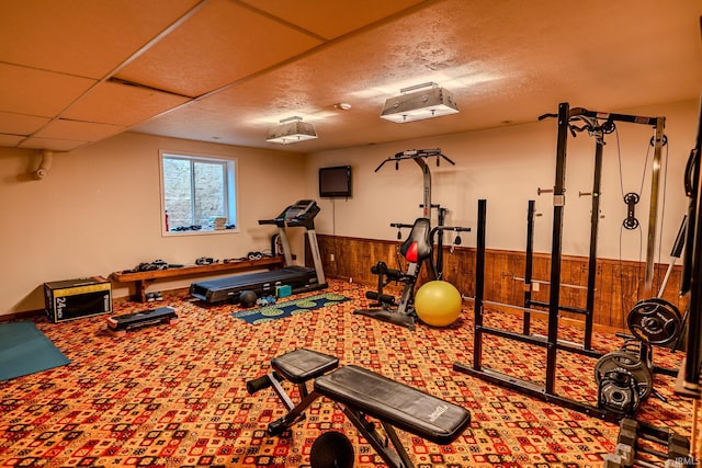 workout room with carpet flooring, wooden walls, and wainscoting
