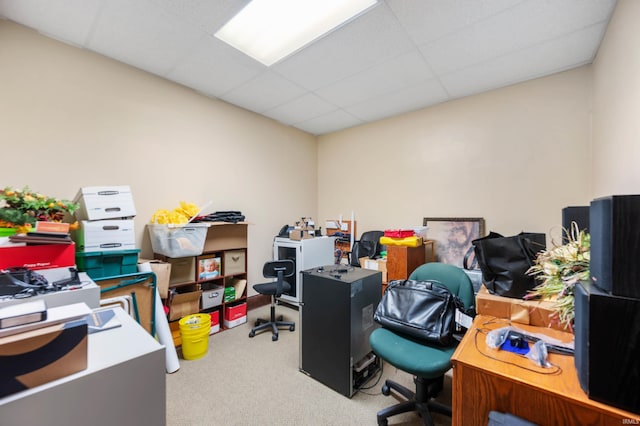 office area featuring a drop ceiling and carpet flooring