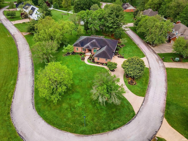 drone / aerial view