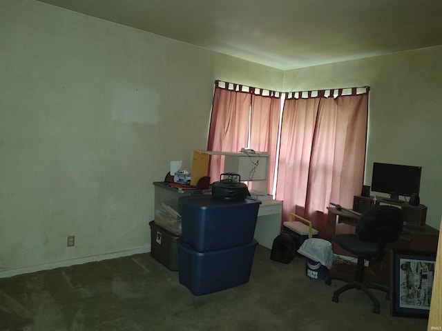 office space featuring carpet