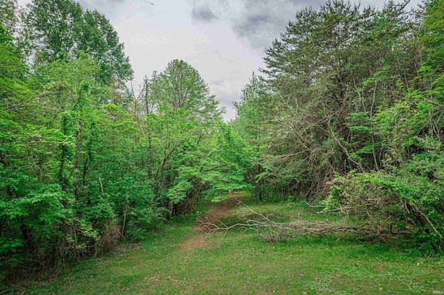 view of nature with a forest view