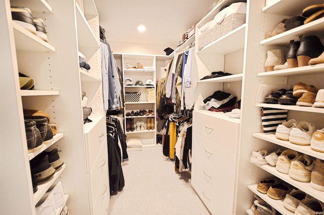 6357 Spirea Ct, West Lafayette, IN 47906 - walk in closet with light carpet