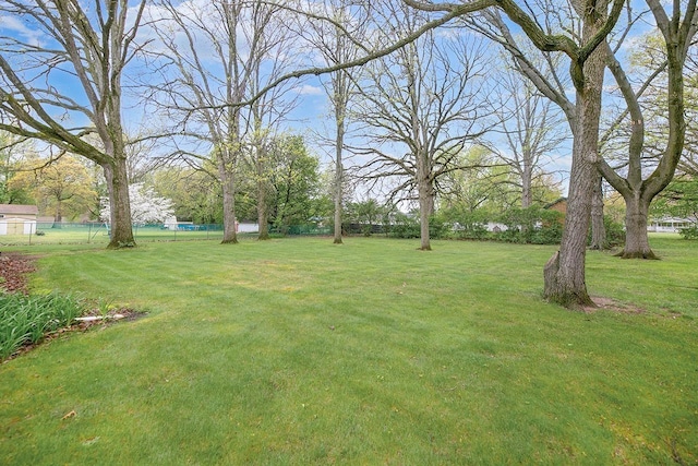 view of yard