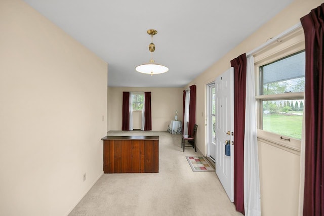 interior space with light carpet