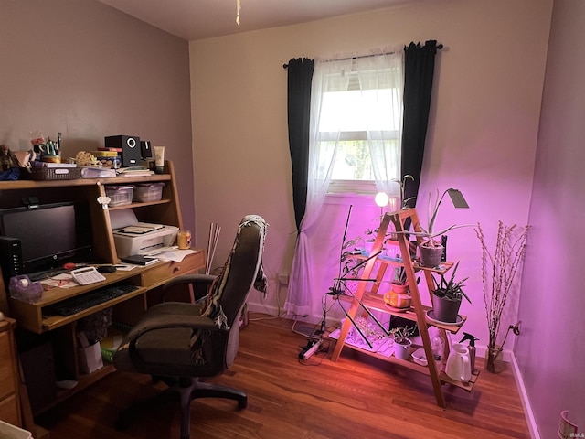 home office with wood finished floors