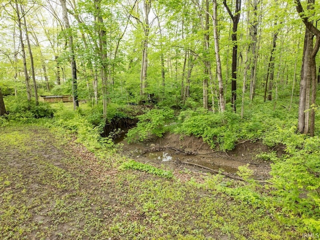 view of landscape featuring a view of trees