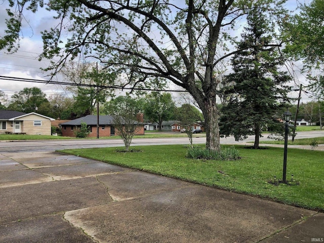 view of yard with driveway and a residential view