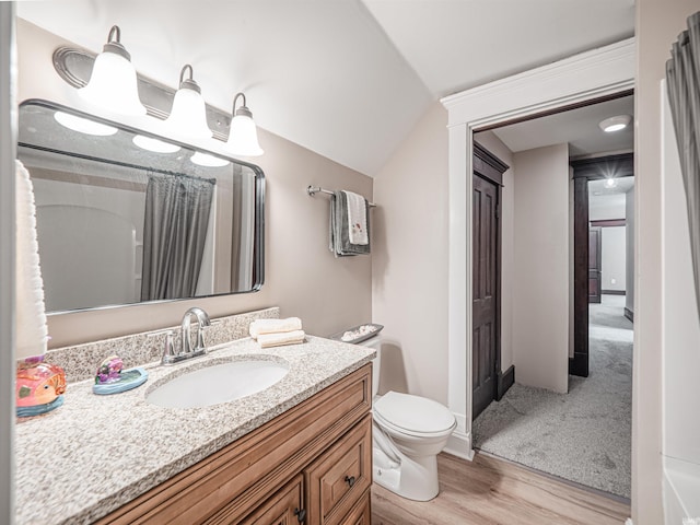 108 S Church St, Owensville, IN 47665 - full bathroom with vanity, toilet, wood finished floors, and lofted ceiling