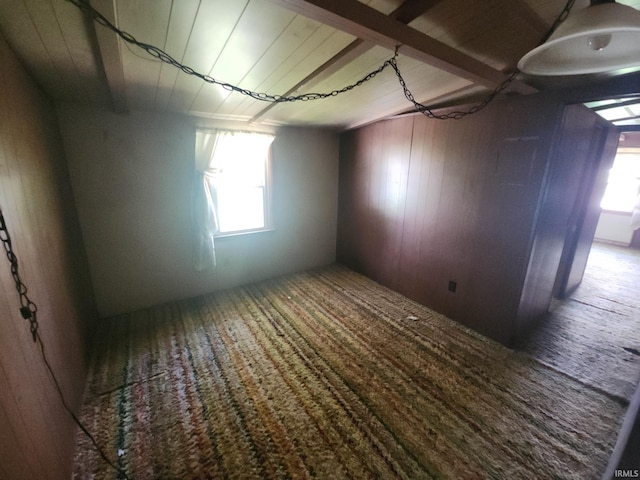 interior space with wooden walls