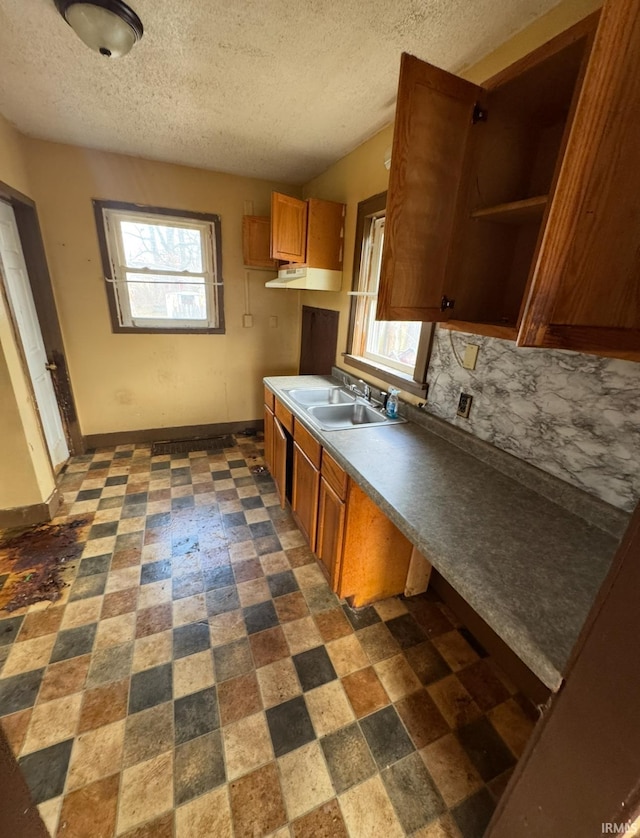 kitchen featuring a textured ceiling, a wealth of natural light, baseboards, and a sink