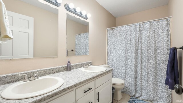 full bathroom with a sink, double vanity, and toilet
