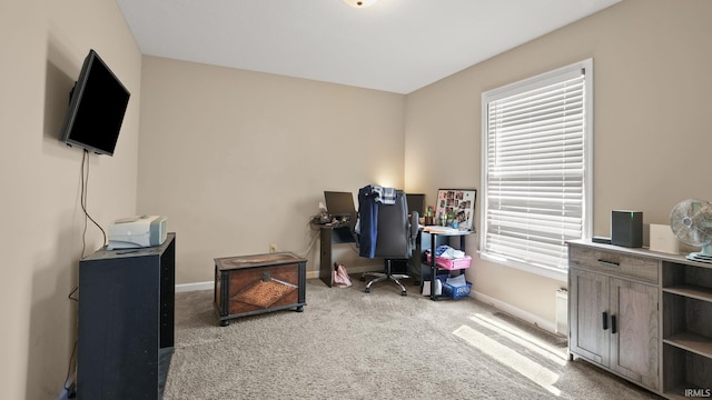 office featuring carpet flooring, baseboards, and plenty of natural light