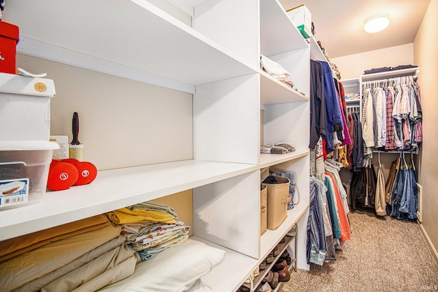 spacious closet with carpet