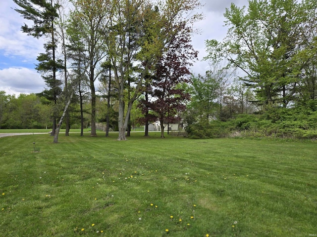 view of yard