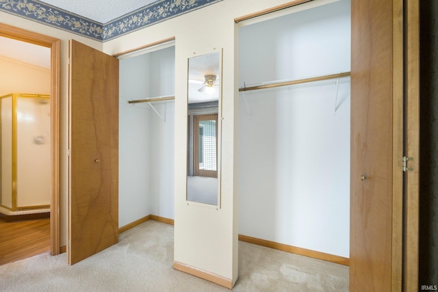 view of closet