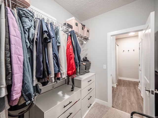 spacious closet with wood finished floors