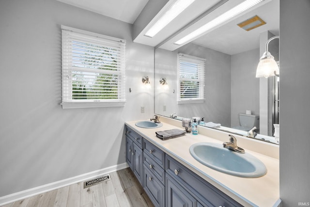 5259 E Willow Ct, Monticello, IN 47960 - bathroom featuring a sink, plenty of natural light, and visible vents