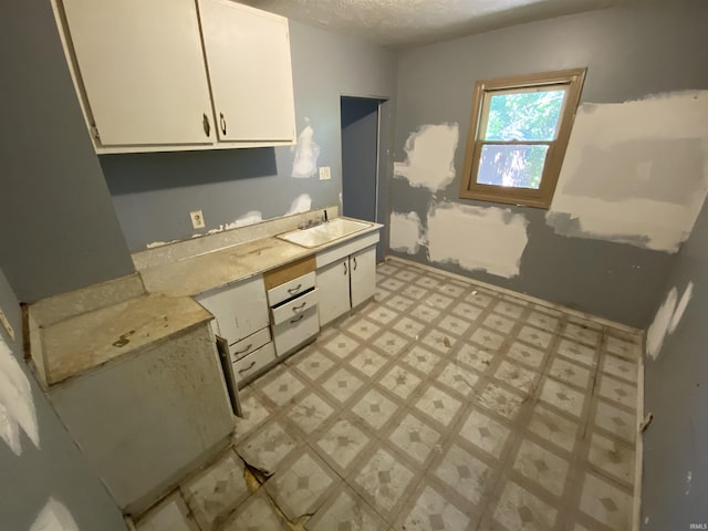 1514 Van Buren St, South Bend, IN 46628 - kitchen featuring white cabinetry, light floors, light countertops, and a sink