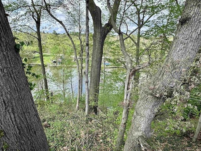 view of water feature