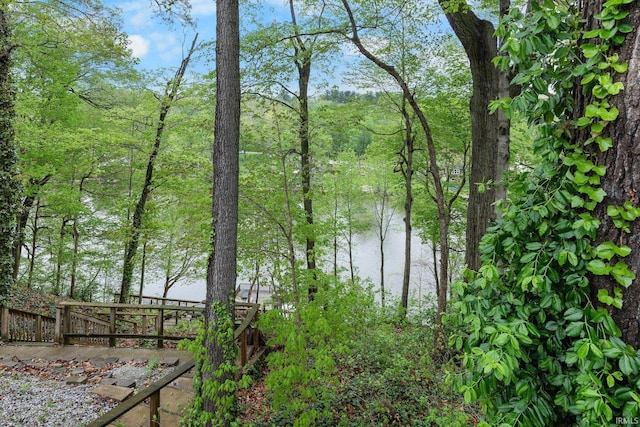 water view with a view of trees