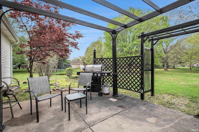 21521 Cheri Ln, Bristol, IN 46507 - view of patio with a pergola, grilling area, and a trampoline