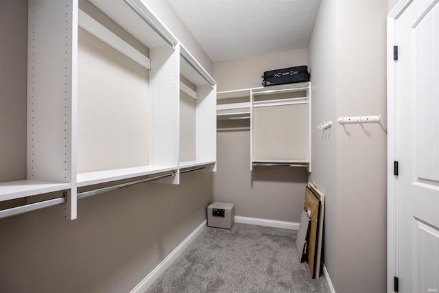 walk in closet with carpet floors