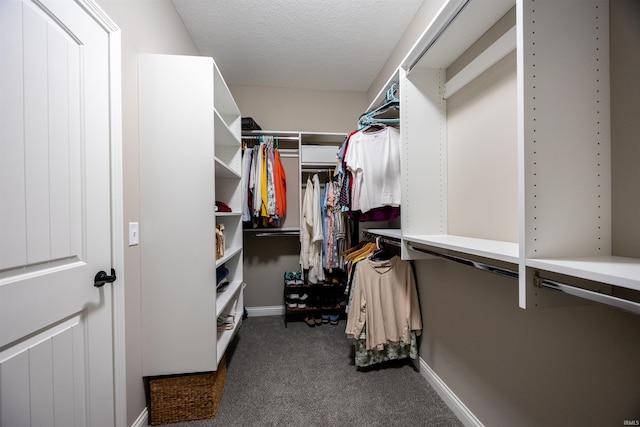 spacious closet with dark colored carpet
