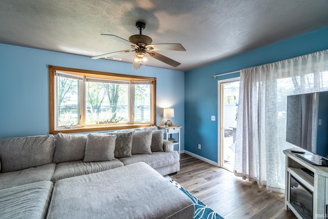 11910 E 690 S, Hudson, IN 46747 - living area with plenty of natural light, wood finished floors, a ceiling fan, and a textured ceiling