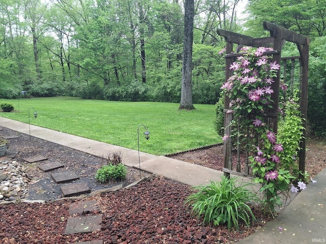 view of yard