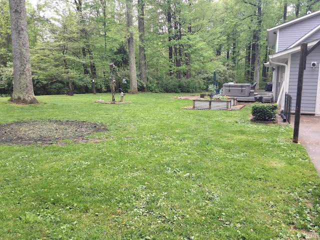 view of yard with a hot tub