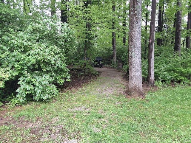 view of yard with driveway and a forest view